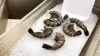 Went grocery shopping 1/9/26
