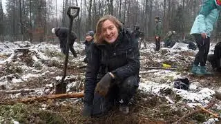 500 new oak trees planted by Sungrow this year 🌱