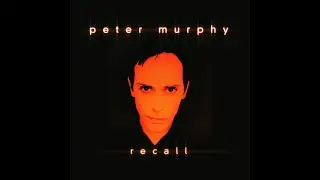 PETER MURPHY - Rollcall-Recall [from the 1998 'Recall' ep] audio