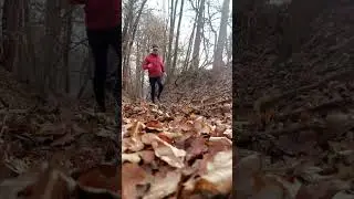 leaves move to the passage. #atletica #runners #running #run #runners #unstoppable #carnival #leaves