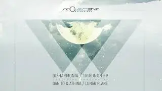 Dizharmonia - Trigonon (Original Mix) [Movement Recordings]