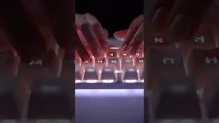 Ultra-Clean Mechanical Keyboard ASMR | Crisp & Satisfying Typing