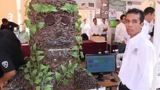 Animatronic Tree