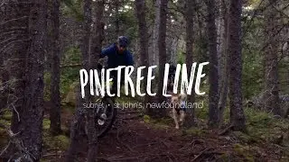 Pinetree Line - Subnet - St. John's Newfoundland Mountain Biking