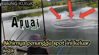 Wauw ! !  banyak babon nila di spot ini | Borneo fishing | riam kanan 