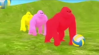Paint Animals Gorilla Cow Tiger Lion Elephant Fountain Crossing Animal Cartoon | Zingo TV