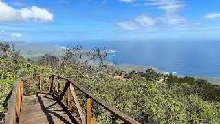 Parque Nacional Bosque Fray Jorge, septiembre 2022