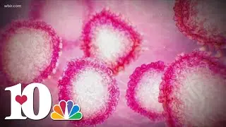 Doctors discuss COVID-19 variant differences, how they test for variant strains