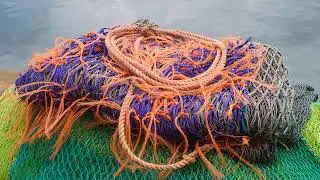Dunbar Harbour