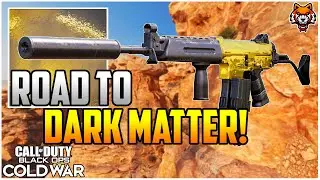 The KRIG 6 Best Class Setup Unlocks GOLD CAMO In Black Ops Cold War