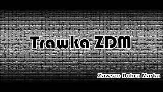 ZDM-Spójrz