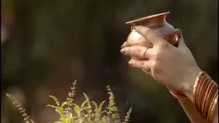 Ident Tulsi