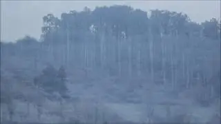 Frozen landscape