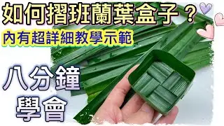 跟著廚娘學摺「班蘭葉盒子」｜零難度｜八分鐘學識 （粵語講解、中文字幕）