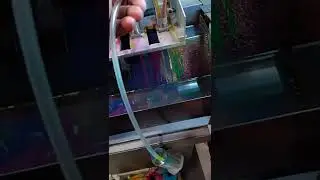 Konica 512 and 512i Head cleaning process| flex machine head clean|