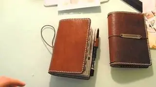 Chic Sparrow Mr. Darcy vs. Chic Sparrow Maverick
