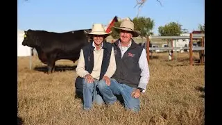 Tex Angus Bull Sale 2021