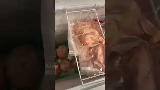 #freezerorganization #homestead #homeraisedmeat #homesteadhacks #venison #pasturedpoultry
