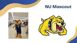 NU Campaign 💙💛