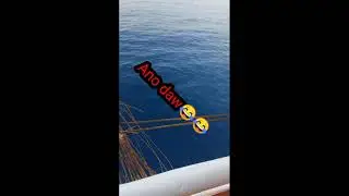 BARACUDA VS DAIDO DAIMOS SPINNING REEL BP 4000 PRO SERIES