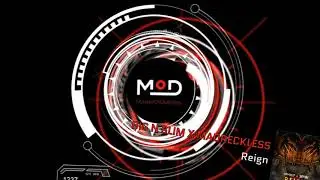 BIG N SLIM X MADRECKLESS  - Reign