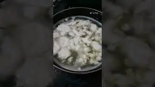cow's milk after 4 days  of giving birth  | milk sweet | #short