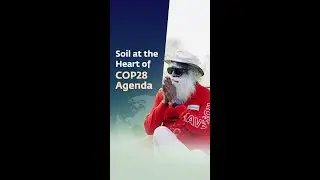 Soil at the Heart of COP28 Agenda
