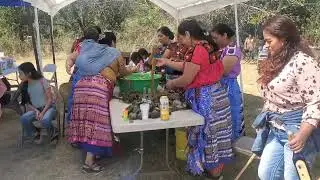 Corte de hoja en Sedalia Mo con jente de Nurio Michoacan para la Fiesta del señor de los milagros