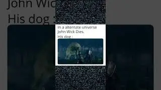 Dog Wick is another level