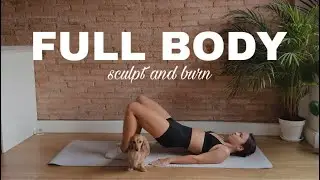 FULL BODY SCULPT | Fast Bodyweight Workout (No Equipment)