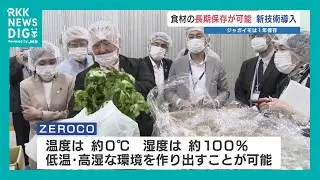 低温・高湿で食材保存「新技術」を熊本・植木青果市場に導入　ニンジン・ジャガイモは約1年間、鮮度を維持
