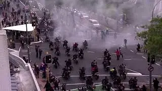 New Zealand Neuseeland Coronademo Corona Demo gegen Massnahmen Lockdown impfpflicht 2G