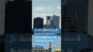 O glumă de pe malul r&acirc;ului Detroit.
