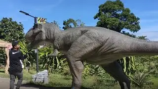 JURASSIC LAND KIULU, SABAH MALAYSIA