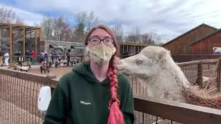 Wild Animal Park Package