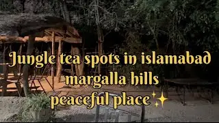 Explore jungle tea spots | Margalla hills Islamabad | beautiful place best jungle spot | @Iq_beauti 