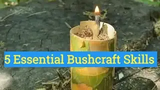 Survival Skills: 5 Essential Bushcraft Skills 🤯| #viral  #bushcraft #survival #camping #outdoors 