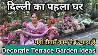 हवा शुद्ध करने वाले पौधे | How to Decorate your Terrace Garden Ideas | Terrace Farming