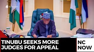 Tinubu Seeks 60 New Judges, Over 20 Health Bills Sent to House of Representatives