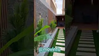 House Mental peace 🕊️ Or Environment Health 🍀😍(1)