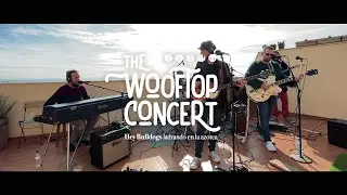 Hey Bulldogs' Wooftop Concert (The Beatles full Rooftop concert cover)