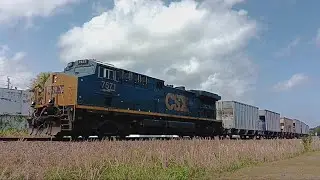 Going it SOLO, thats CSX L793-15 also Tri-Rails P674-16 - P677-16 and P691-16 - 3/16/25