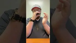 Gritty Blues Harmonica Sounds Of The Hohner Special 20 #harmonica #modernblues #bluesharp