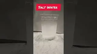 Archimedes Principal Experiment | Class 9 | Buoyant Force | Buoyancy | Simple Science Experiment