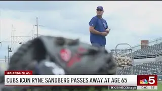 Cubs legend Ryne Sandberg dies at 65