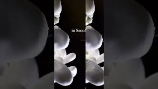 The process of making jewelry by Seulgi Kwon