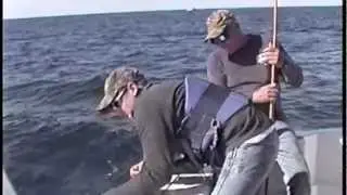 The Stricklands Fishing The Midnight Lump With Xtreme Fishing Charters
