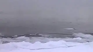 Tranquil Frozen Lake