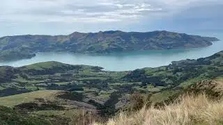 Akaroa Harbour Tour