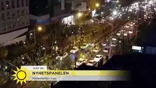 Protesterna i Iran 